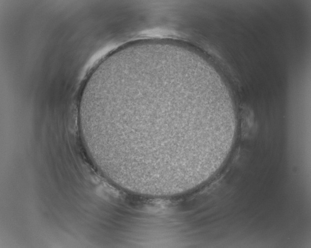 X0000076431358200611031829