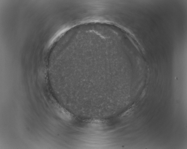 X0000076431359200611031828