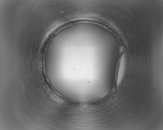 X0000076431360200611031828