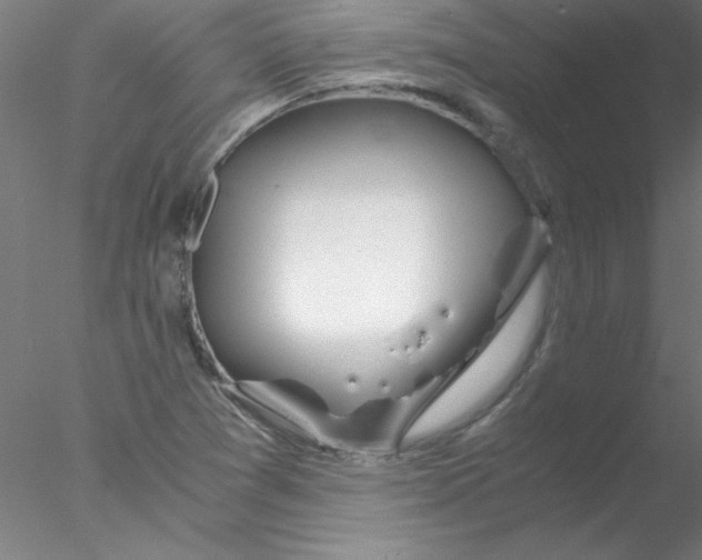 X0000076431361200611031828