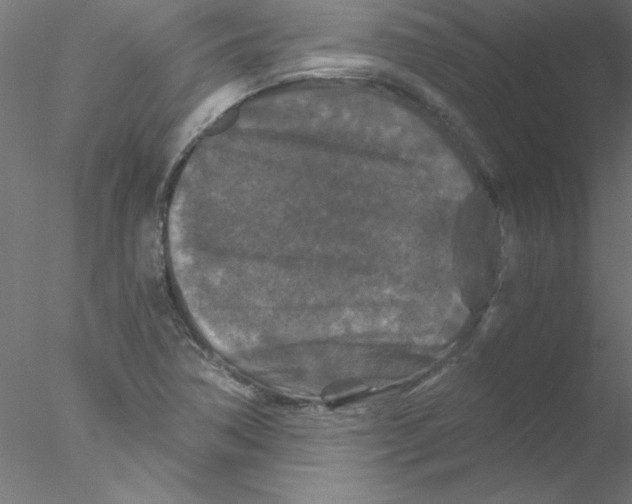 X0000076431362200611031828