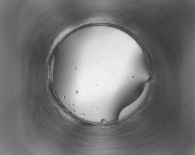 X0000076431366200611031828