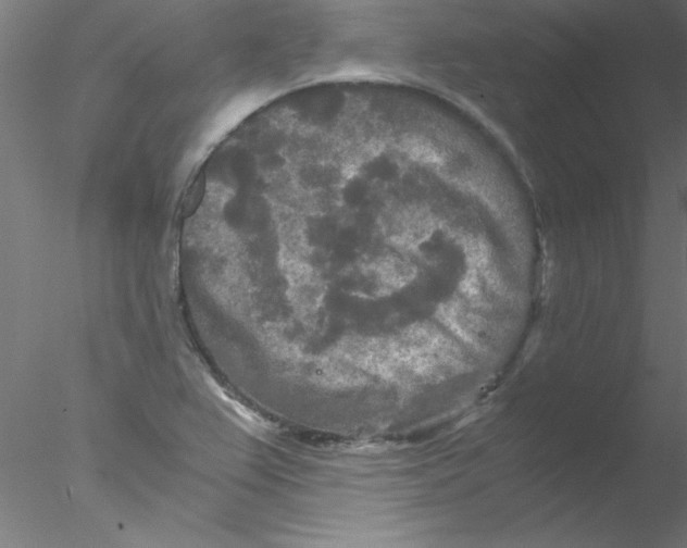 X0000076431367200611031828