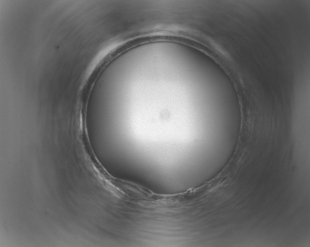 X0000076431368200611031828