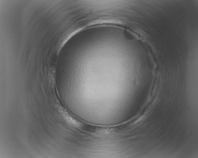 X0000076431369200611031828