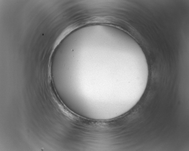 X0000076431370200611031828