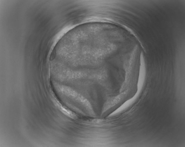 X0000076431371200611031828