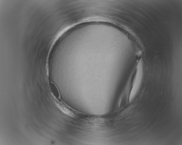 X0000076431372200611031828