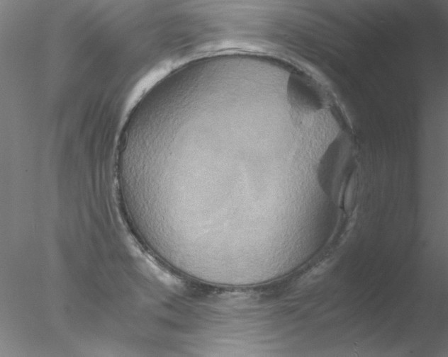 X0000076431373200611031828