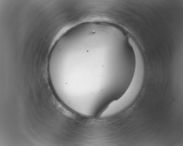 X0000076431374200611031828