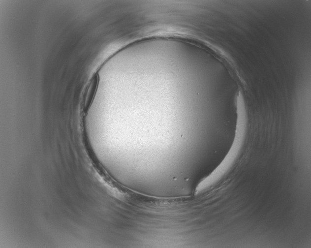 X0000076431375200611031828