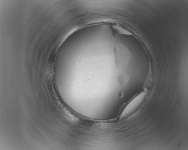 X0000076431377200611031828