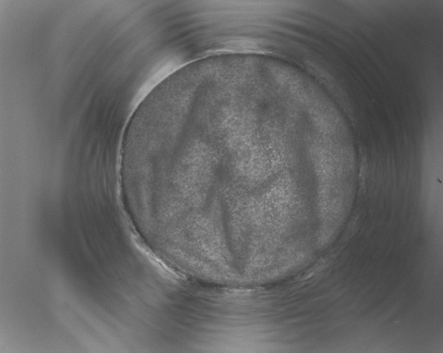 X0000076431378200611031828