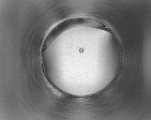 X0000076431380200611031828