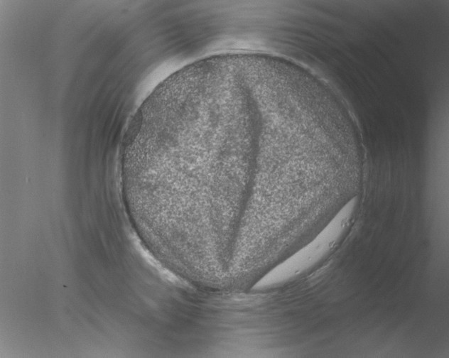 X0000076431382200611031828