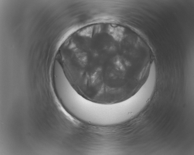 X0000076431383200611031828