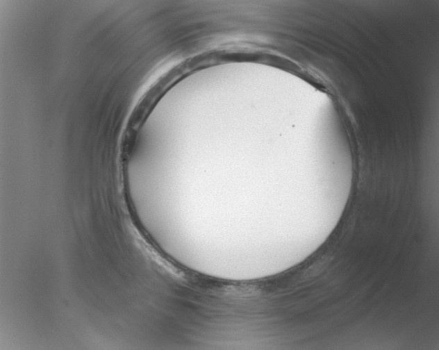 X0000076431384200611031828