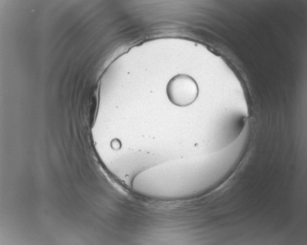 X0000076431385200611031828