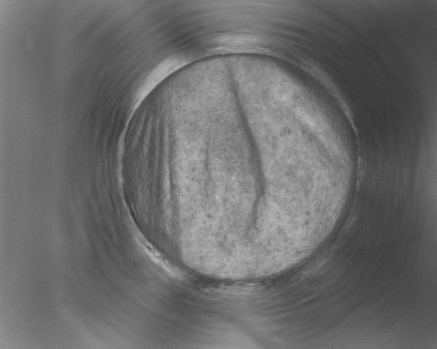 X0000076431386200611031828