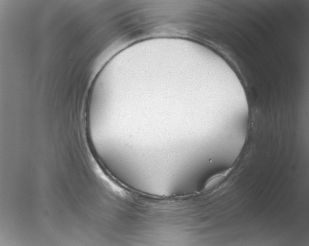 X0000076431387200611031828