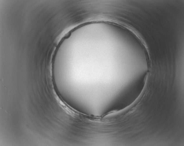 X0000076431388200611031828