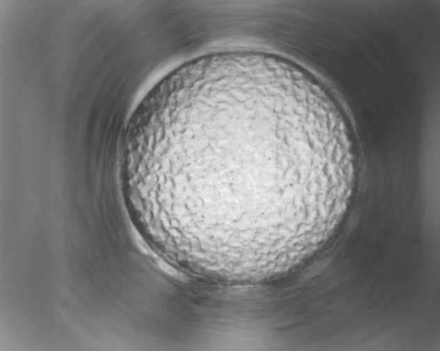 X0000076431390200611031828