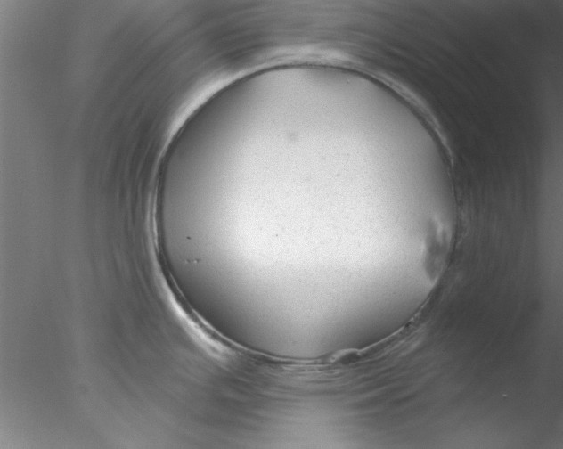 X0000076431391200611031828