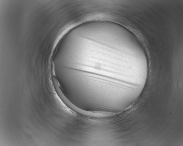 X0000076431392200611031828