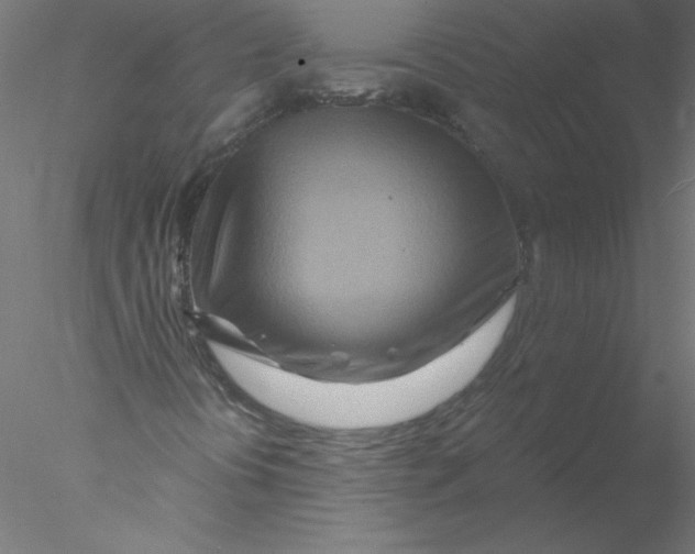 X0000076431394200611031827