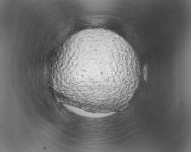 X0000076431395200611031827