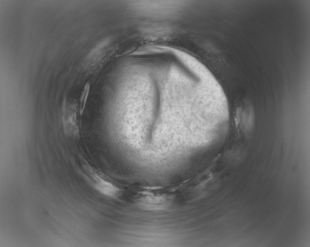 X0000076431396200611031827