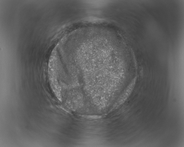 X0000076431397200611031827