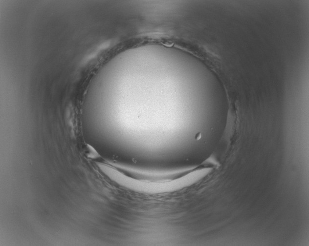 X0000076431398200611031827