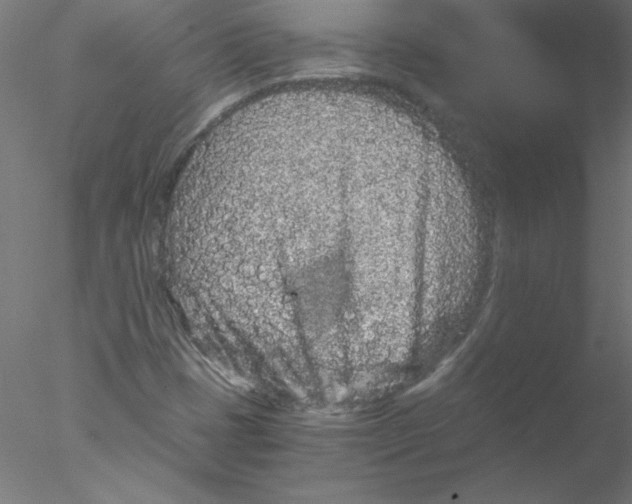 X0000076431401200611031827