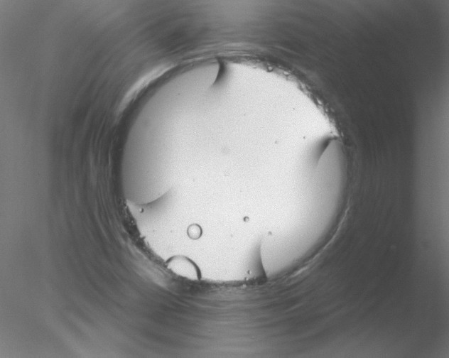 X0000076431402200611031827