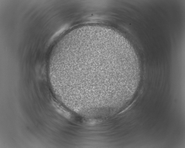 X0000076431403200611031827