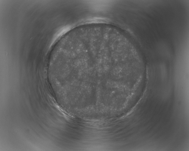 X0000076431405200611031827