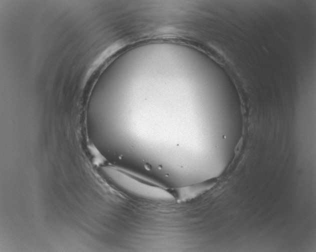 X0000076431410200611031827