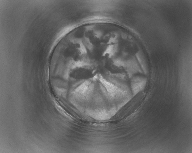 X0000076431413200611031827