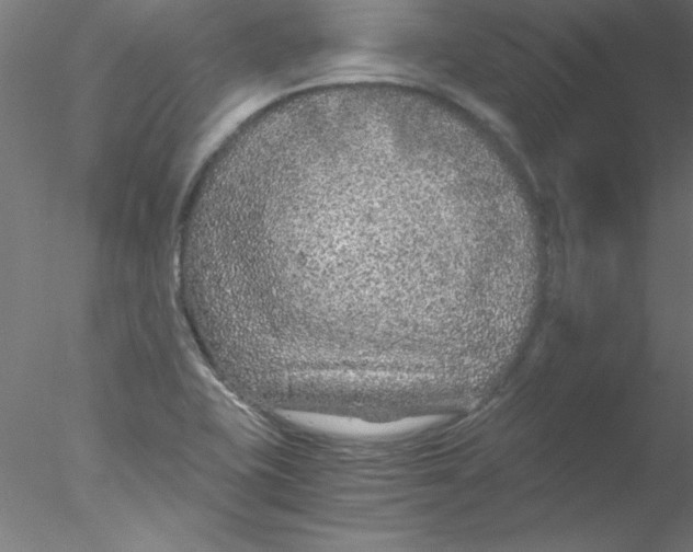 X0000076431415200611031828