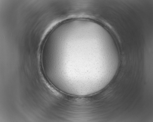 X0000076431416200611031828