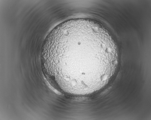 X0000076431417200611031828