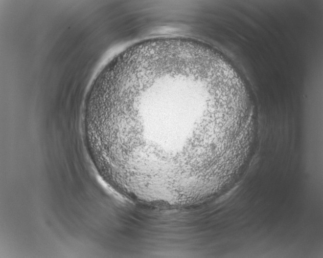 X0000076431421200611031828