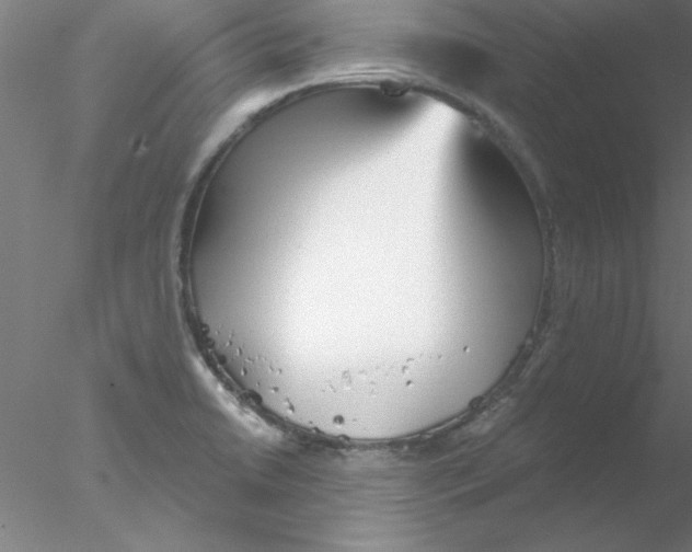 X0000076431422200611031828