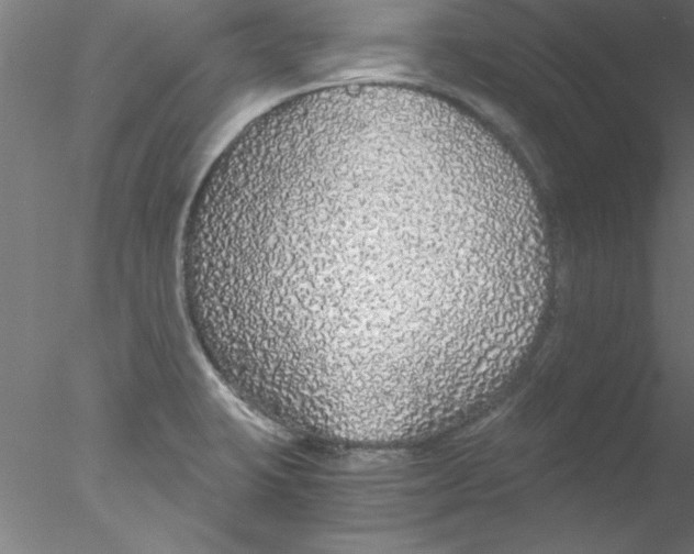 X0000076431423200611031828