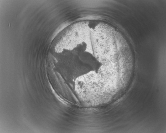 X0000076431425200611031828