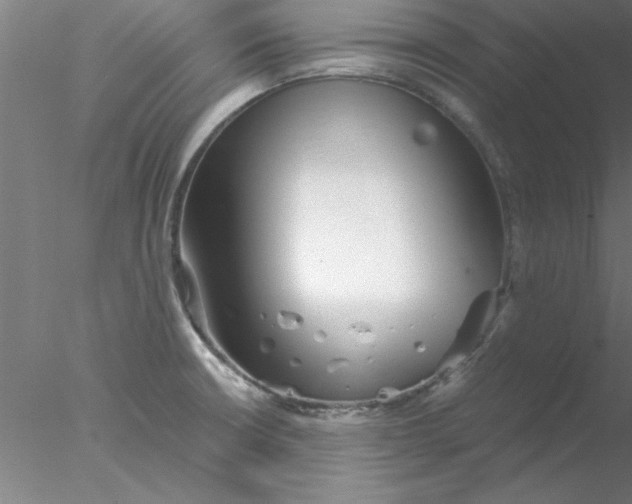 X0000076431426200611031828