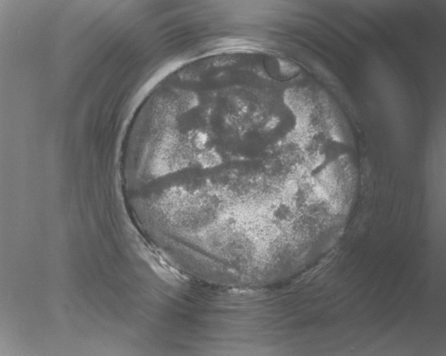 X0000076431427200611031828