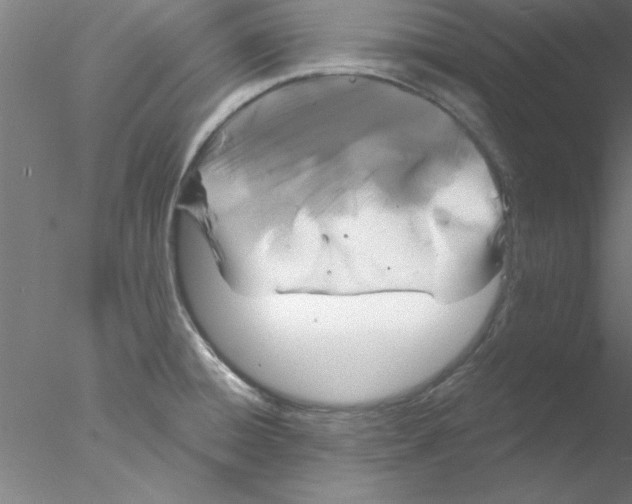 X0000076431428200611031828