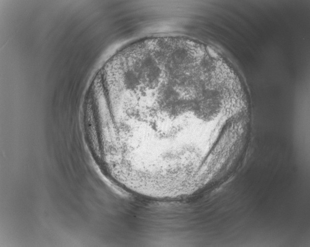 X0000076431429200611031828